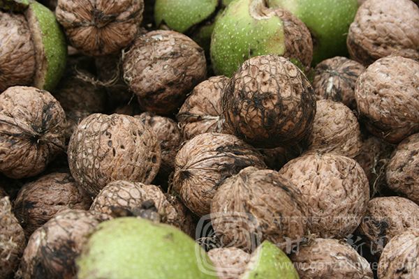 西部太陽(yáng)谷 得榮原生態(tài)美食