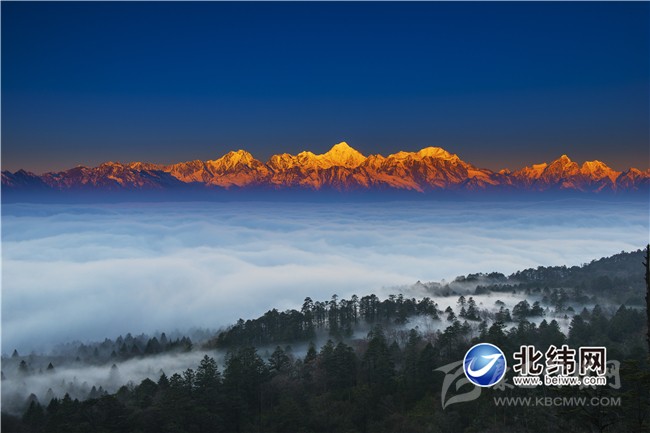 王崗坪 云海金山.jpg