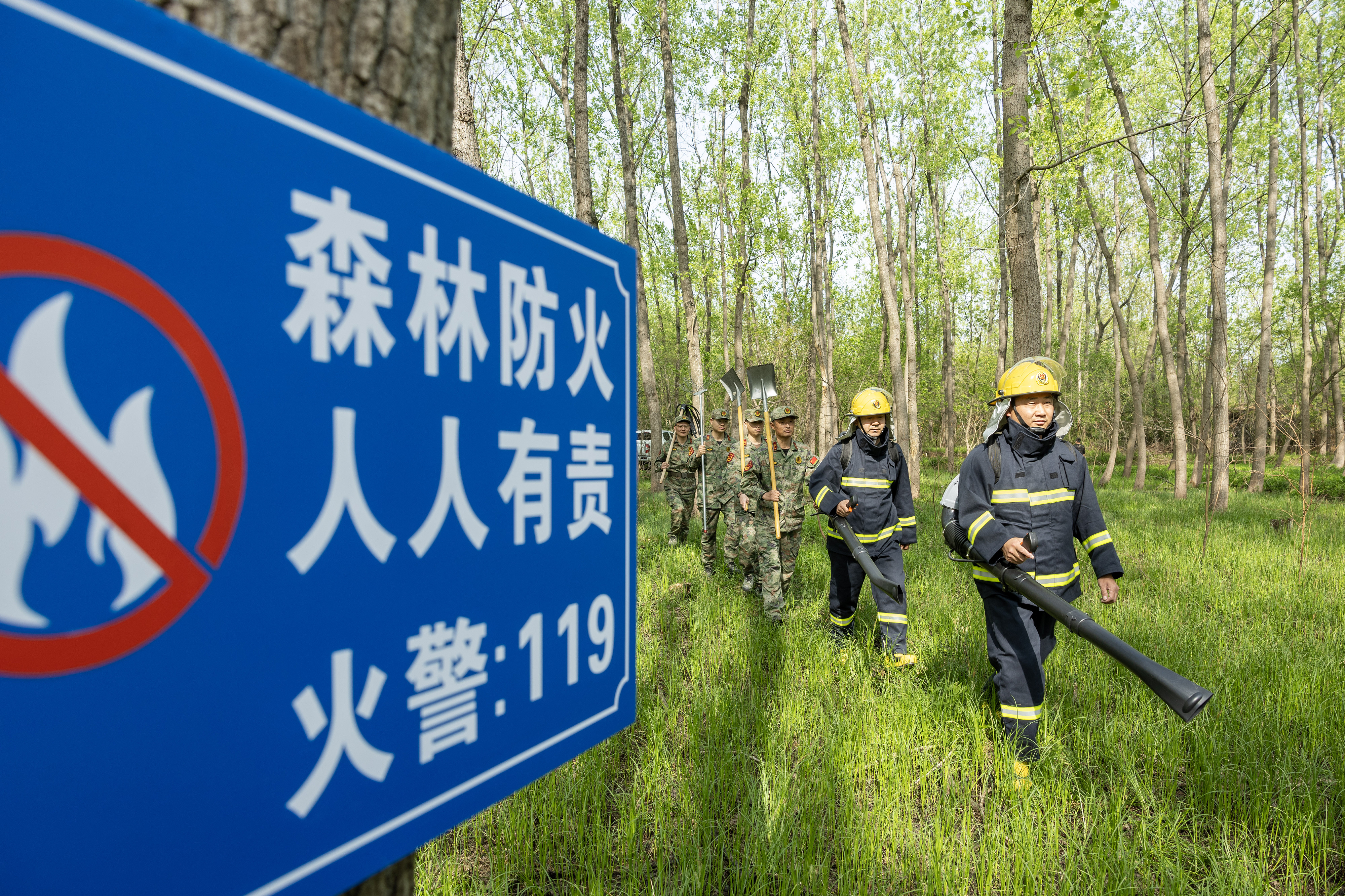 2024年4月9日，合肥市大房郢水庫水源保護地廬陽經(jīng)濟開發(fā)區(qū)段，基干民兵正在林間巡查火災隱患。