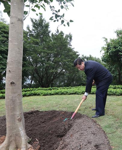 2012年12月7日至11日，習(xí)近平在廣東省考察工作。這是8日上午，習(xí)近平在深圳蓮花山公園種下一棵高山榕樹。新華社記者 蘭紅光 攝